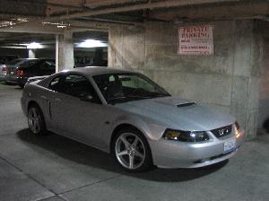 Mustang 3 010.jpg